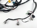 2013 Yamaha 250 HP 4 Stroke Outboard Engine Wire Harness 6CB-82590-02-00 OEM