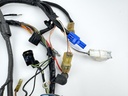 2005 Yamaha 150 HP 4 Stroke Outboard Engine Wire Harness 63P-82590-20-00 OEM