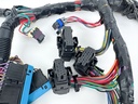 2006 Mercury 275 HP 4 Stroke Outboard Engine Wire Harness 880616A06 OEM