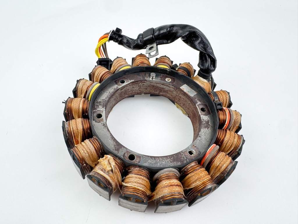 2010 Evinrude 250 HP 2 Stroke Outboard Stator Assembly 0586948 OEM