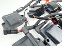 2010 Evinrude 250 HP 2 Stroke Outboard Ignition Coil Set 0586980 OEM