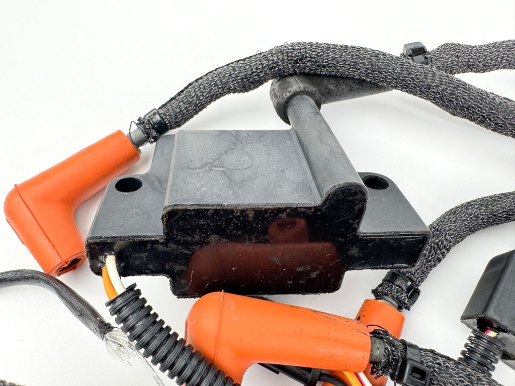 2010 Evinrude 250 HP 2 Stroke Outboard Ignition Coil Set 0586980 OEM