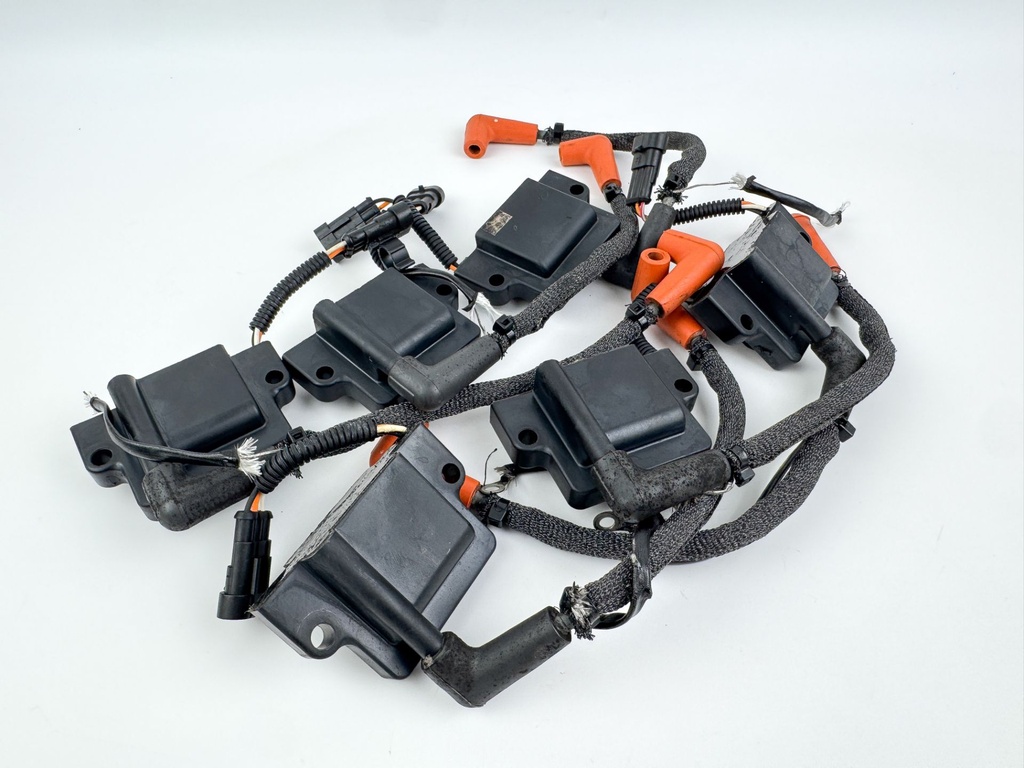 2010 Evinrude 250 HP 2 Stroke Outboard Ignition Coil Set 0586980 OEM