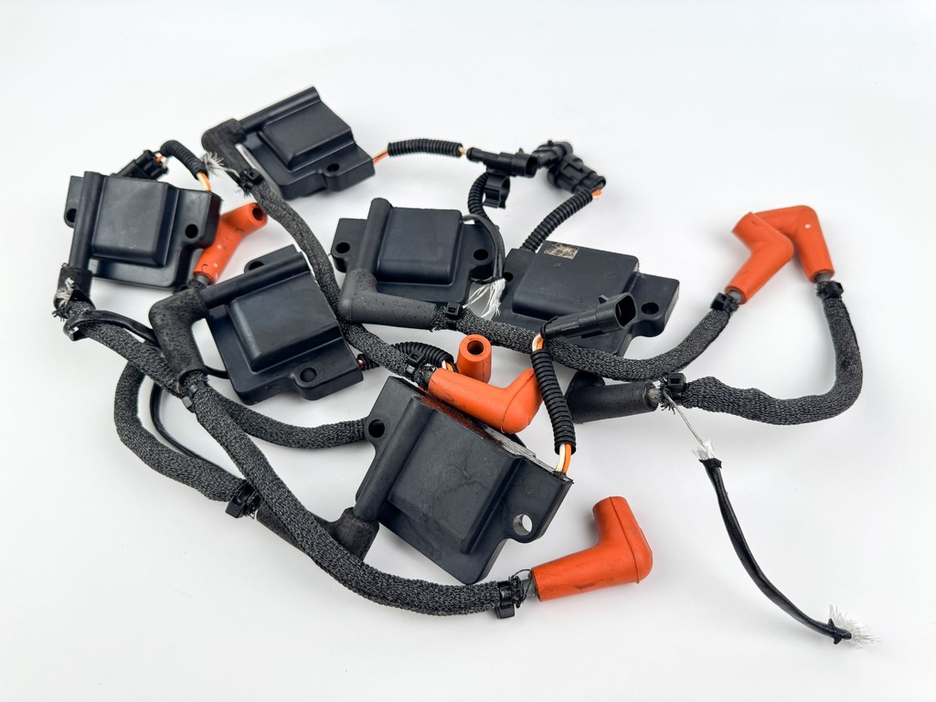 2010 Evinrude 250 HP 2 Stroke Outboard Ignition Coil Set 0586980 OEM