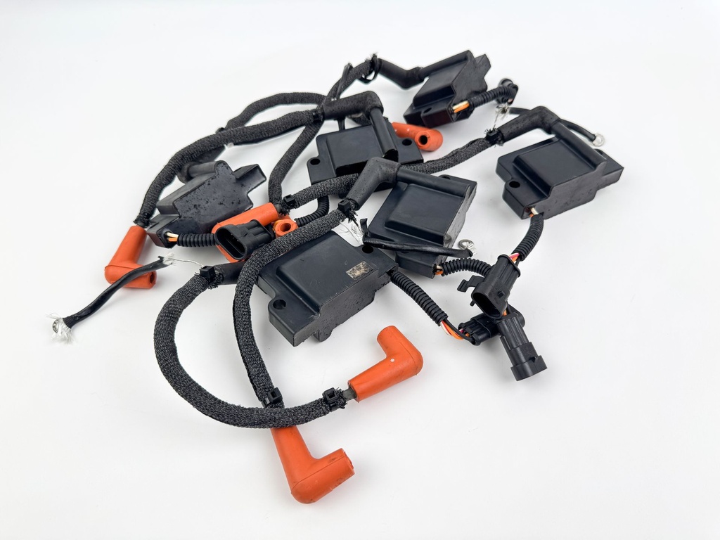 2010 Evinrude 250 HP 2 Stroke Outboard Ignition Coil Set 0586980 OEM