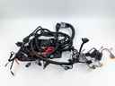 2017 Mercury 150 HP 4 Stroke Outboard Engine Wire Harness 8M0057696 OEM