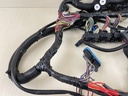 2007 Mercury 150HP 4 Stroke Verado L4 Outboard Engine Wire Harness Assembly 892579A06