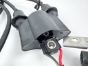 2008 Yamaha 150 HP 4 Stroke Outboard Ignition Coil Set 63P-82310-01-00 Tested