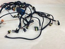 2008 Evinrude Etec 90HP Outboard Engine Wiring Harness 0586973