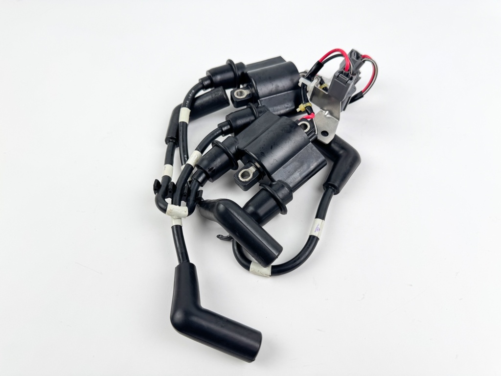 2014 Yamaha 60 HP 4 Stroke Outboard Ignition Coil Set 63P-82310-01-00 OEM