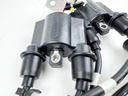 2014 Yamaha 60 HP 4 Stroke Outboard Ignition Coil Set 63P-82310-01-00 OEM