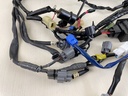 2008 Yamaha 90HP 4 Stroke Engine Wire Harness Assembly 6D8-82590-30-00