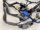 2008 Yamaha 90HP 4 Stroke Engine Wire Harness Assembly 6D8-82590-30-00