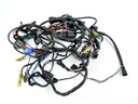 1999 Yamaha 200 HP 2 Stroke Outboard Engine Wire Harness 67H-82590-00-00 OEM