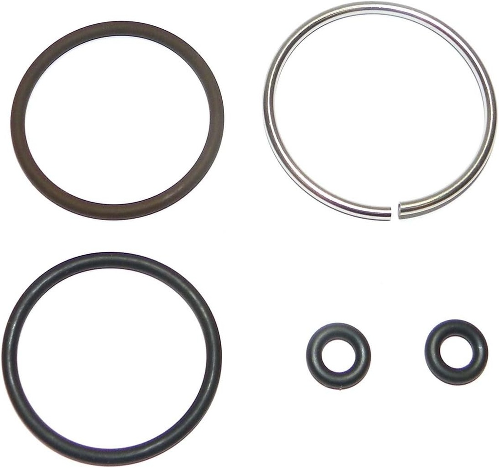Evinrude Johnson BRP O-Ring Injector Kit 5007017