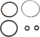 Evinrude Johnson BRP O-Ring Injector Kit 5007017