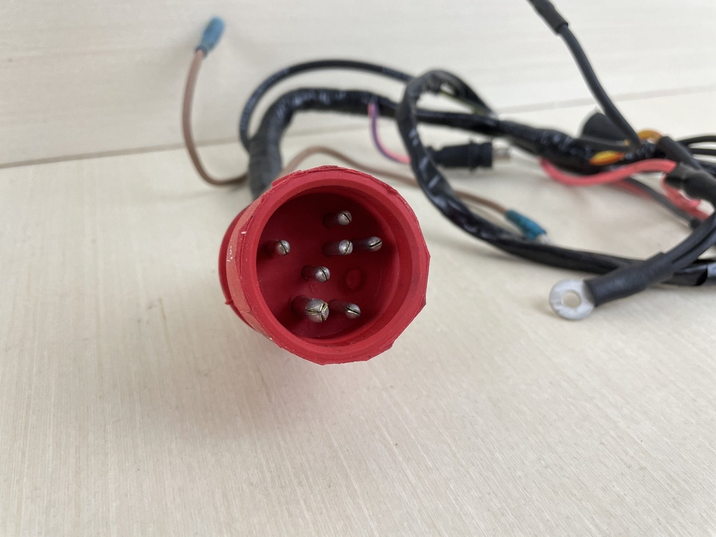 Evinrude Johnson OMC Engine Wire Harness 584881 New OEM