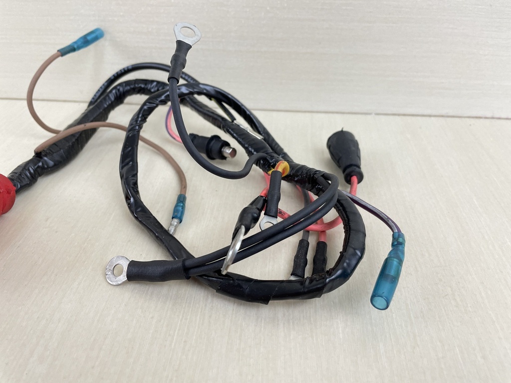 Evinrude Johnson OMC Engine Wire Harness 584881 New OEM