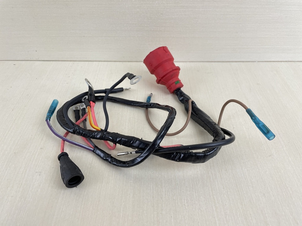 Evinrude Johnson OMC Engine Wire Harness 584881 New OEM