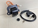 Evinrude Johnson OMC Outboard Ignition Coil Kit 502888 OEM