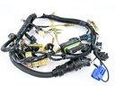 2004 Yamaha 40HP 4 Stroke Outboard Engine Wire Harness Assembly 67C-82590-40-00