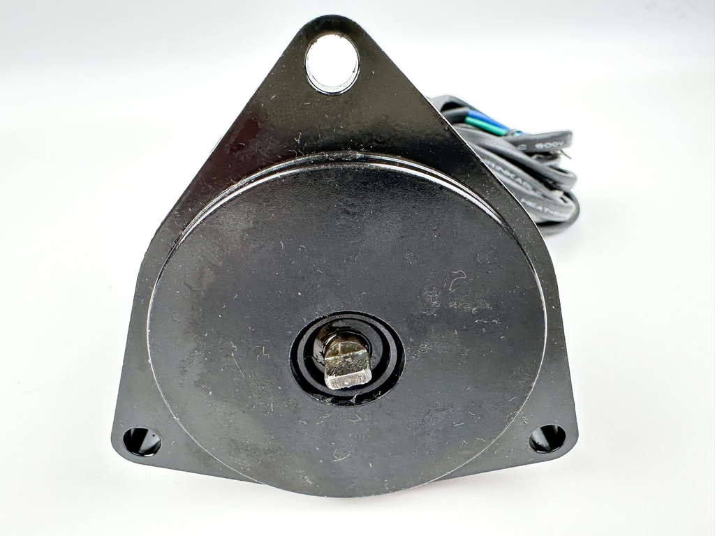 Evinrude Johnson OMC Trilt Tilt Motor Assembly 0393988 393988 Brand New OEM