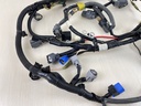 2007 Yamaha 60HP 4 Stroke Outboard Engine Wire Harness Assembly 6C5-82590-40-00