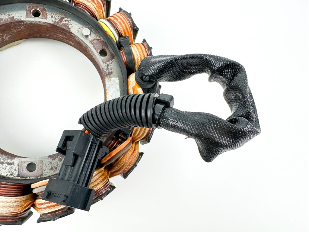 2008 Evinrude 250 HP Etec 2 Stroke Outboard Stator Assembly 0586948 OEM