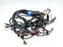 2008 Evinrude 250 HP 2 Stroke Etec Engine Wire Harness 0586991 OEM