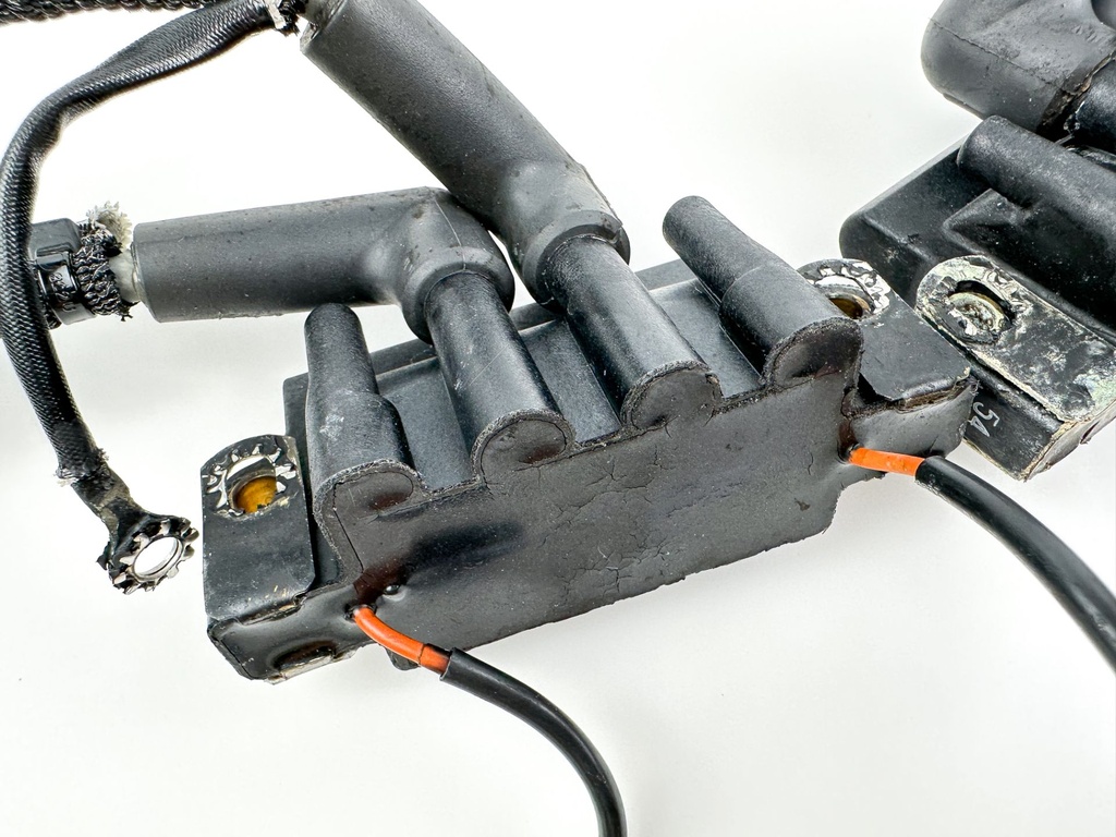 2008 Evinrude 250 HP Etec 2 Stroke Outboard Ignition Coil Set 0586857 OEM