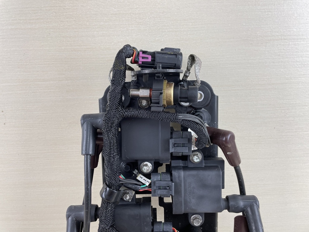 2008 Mercury 225HP ProXs Optimax Ignition Coil Set With Plugs & Plate 8M0077471