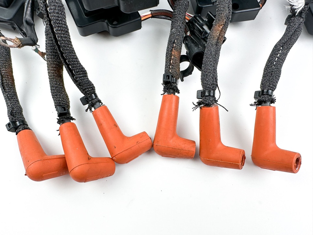 2009 Evinrude 150 HP 2 Stroke Outboard Ignition Coil Set 0586980 OEM