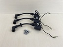 2009 Yamaha 50HP 2 Stroke Outboard Ignition Coil Set 3 6H5-85570-00-00