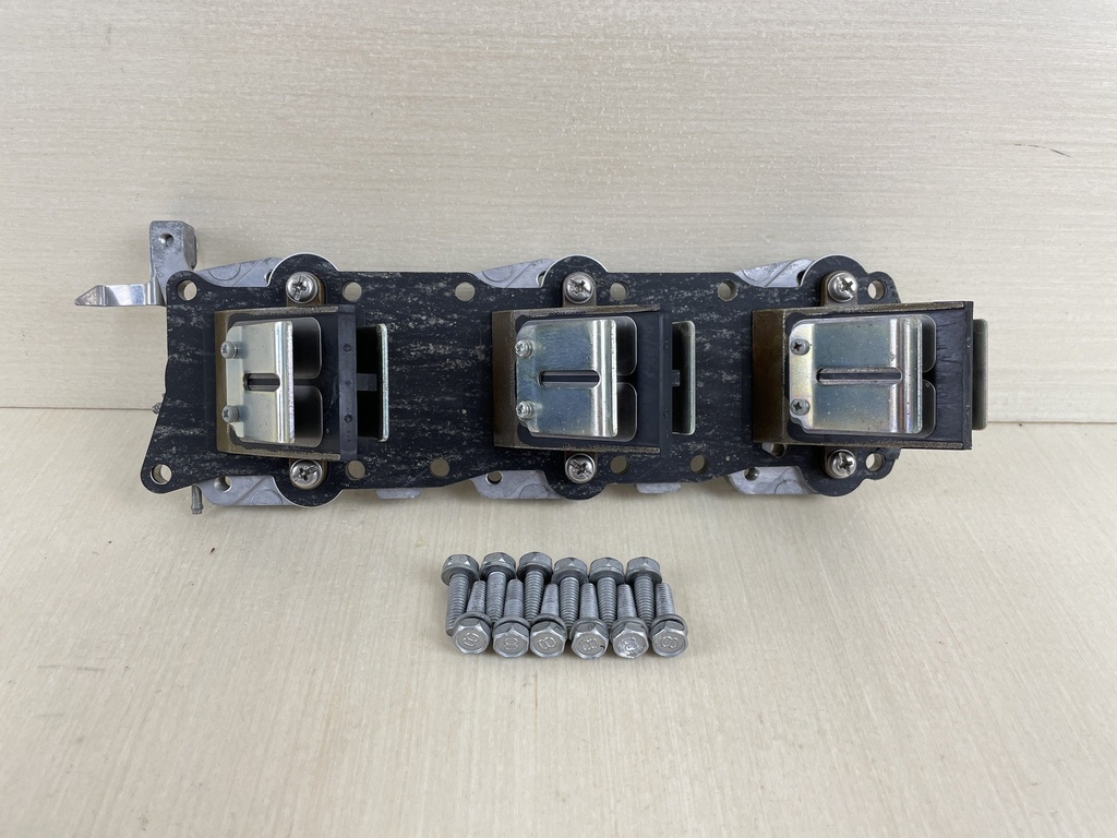 2009 Yamaha 50HP 2 Stroke Outboard Reed Valve With Plate 6H5-13610-00-00