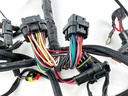 2007 Evinrude 250 HP 2 Stroke Outboard Engine Wire Harness 0586769 OEM
