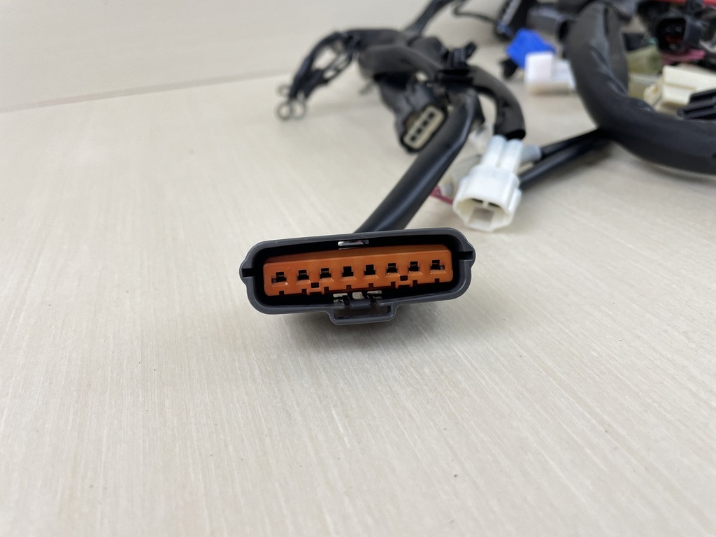 2015 Yamaha 200HP F200 4 Stroke Outboard Engine Wire Harness Assembly 6DA-82590-00-00