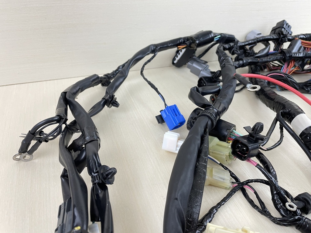 2015 Yamaha 200HP F200 4 Stroke Outboard Engine Wire Harness Assembly 6DA-82590-00-00