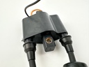 2018 Yamaha 25 HP 4 Stroke Outboard Ignition Coil Set 6F5-85570-13-00 OEM