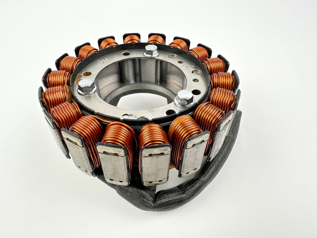 2018 Yamaha 25 HP 4 Stroke Outboard Stator Assembly 6FM-81410-00-00 OEM