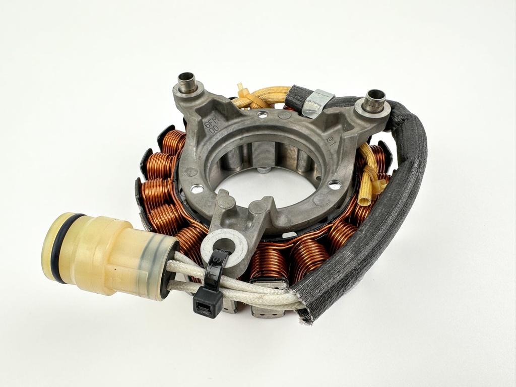 2018 Yamaha 25 HP 4 Stroke Outboard Stator Assembly 6FM-81410-00-00 OEM