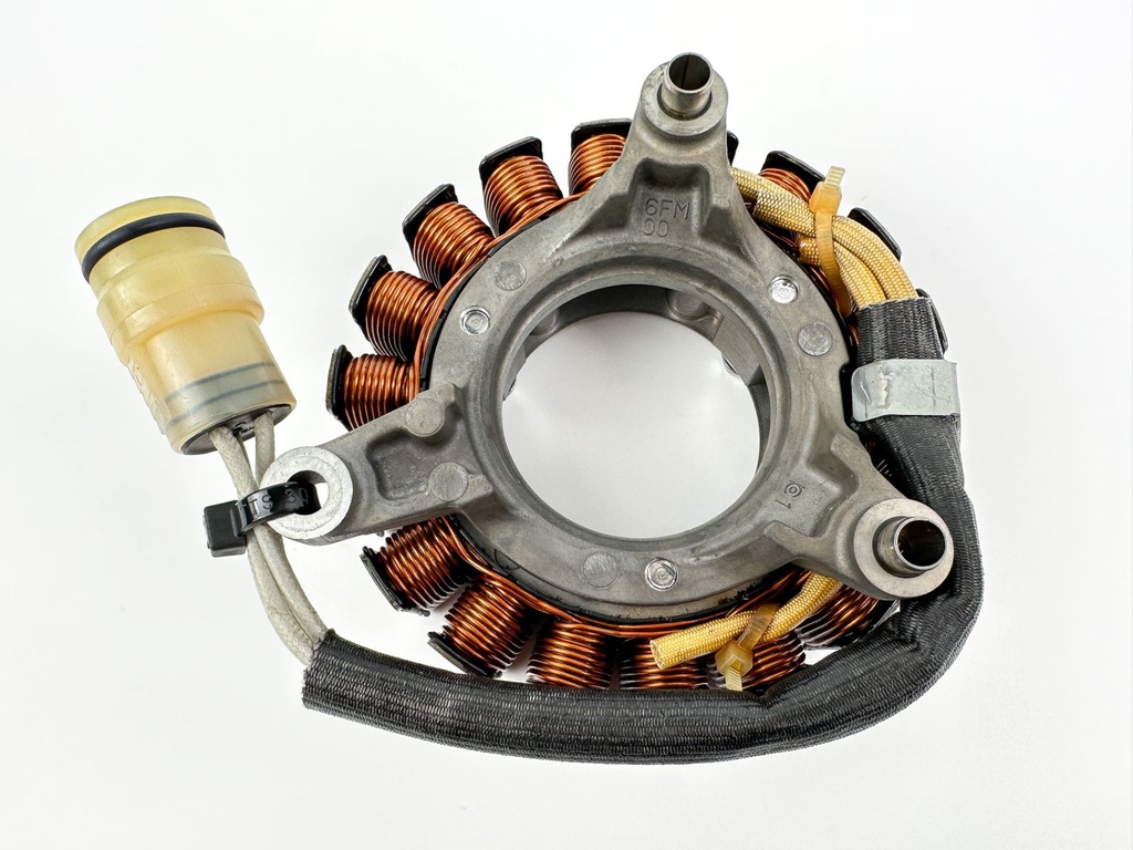 2018 Yamaha 25 HP 4 Stroke Outboard Stator Assembly 6FM-81410-00-00 OEM