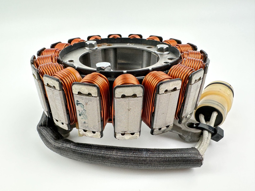 2018 Yamaha 25 HP 4 Stroke Outboard Stator Assembly 6FM-81410-00-00 OEM