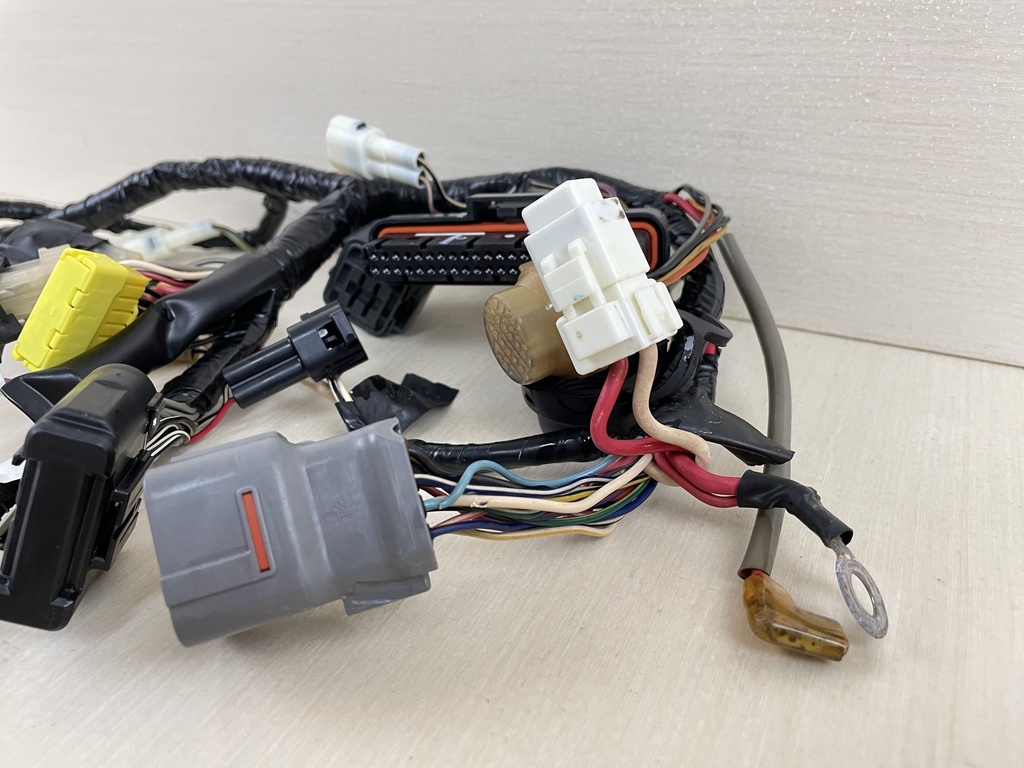 2007 Suzuki 50HP 4 Stroke Outboard Engine Wire Harness Assembly 36610-87JG0