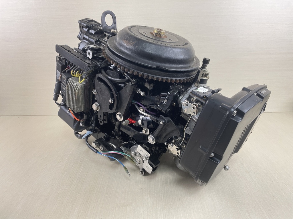 2000 Evinrude Johnson 50HP 2 Stroke Outboard Powerhead Assembly 0437342