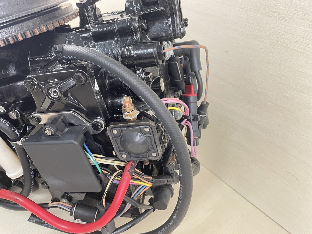 2000 Evinrude Johnson 50HP 2 Stroke Outboard Powerhead Assembly 0437342