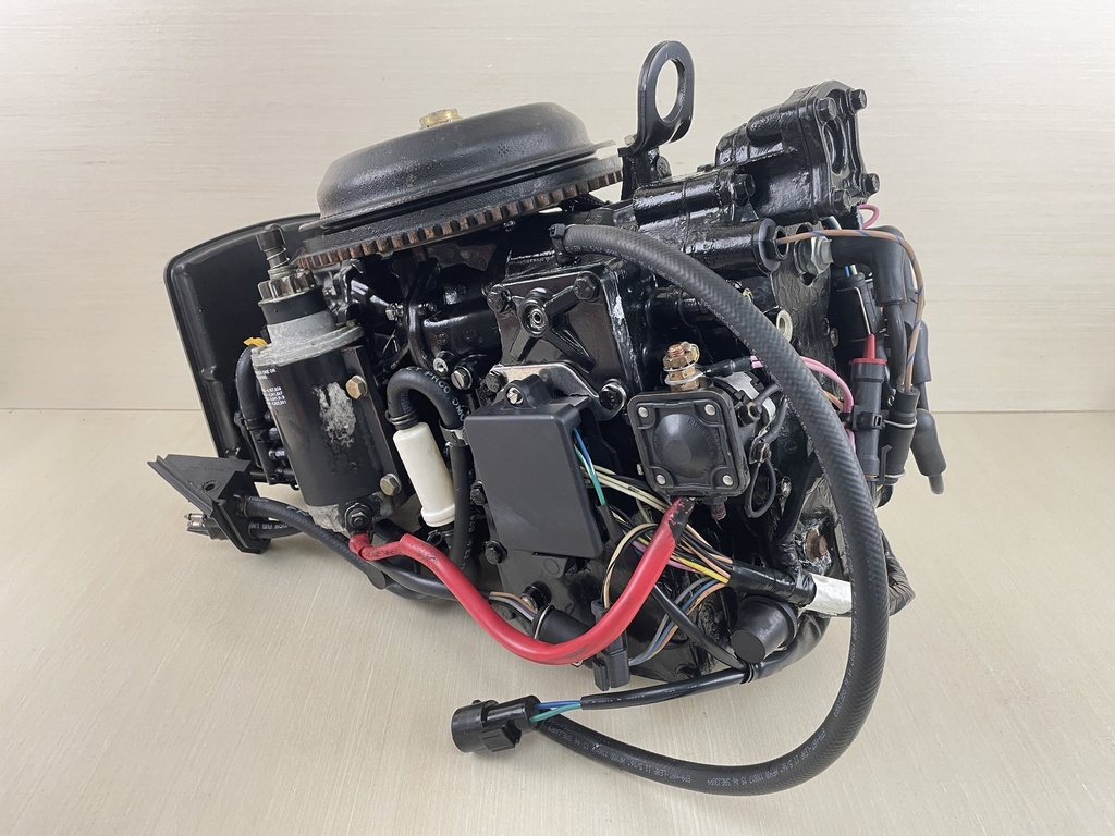 2000 Evinrude Johnson 50HP 2 Stroke Outboard Powerhead Assembly 0437342