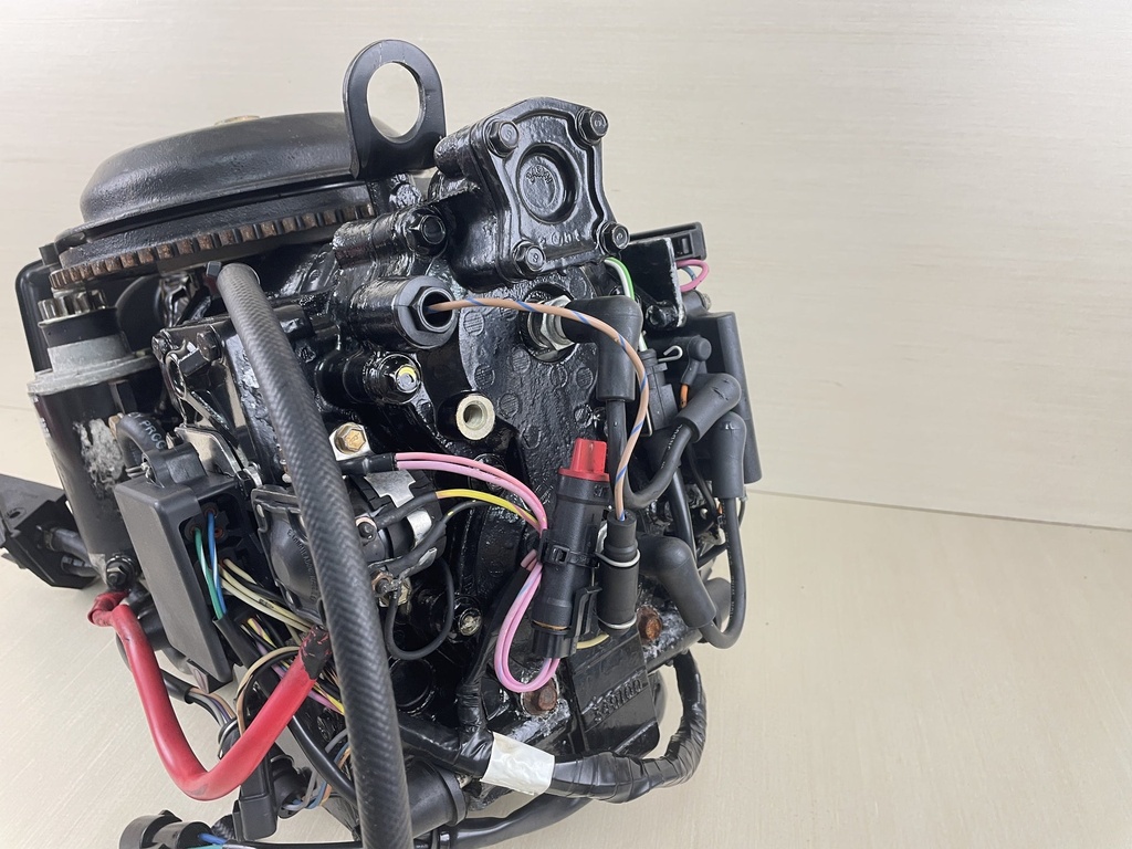 2000 Evinrude Johnson 50HP 2 Stroke Outboard Powerhead Assembly 0437342