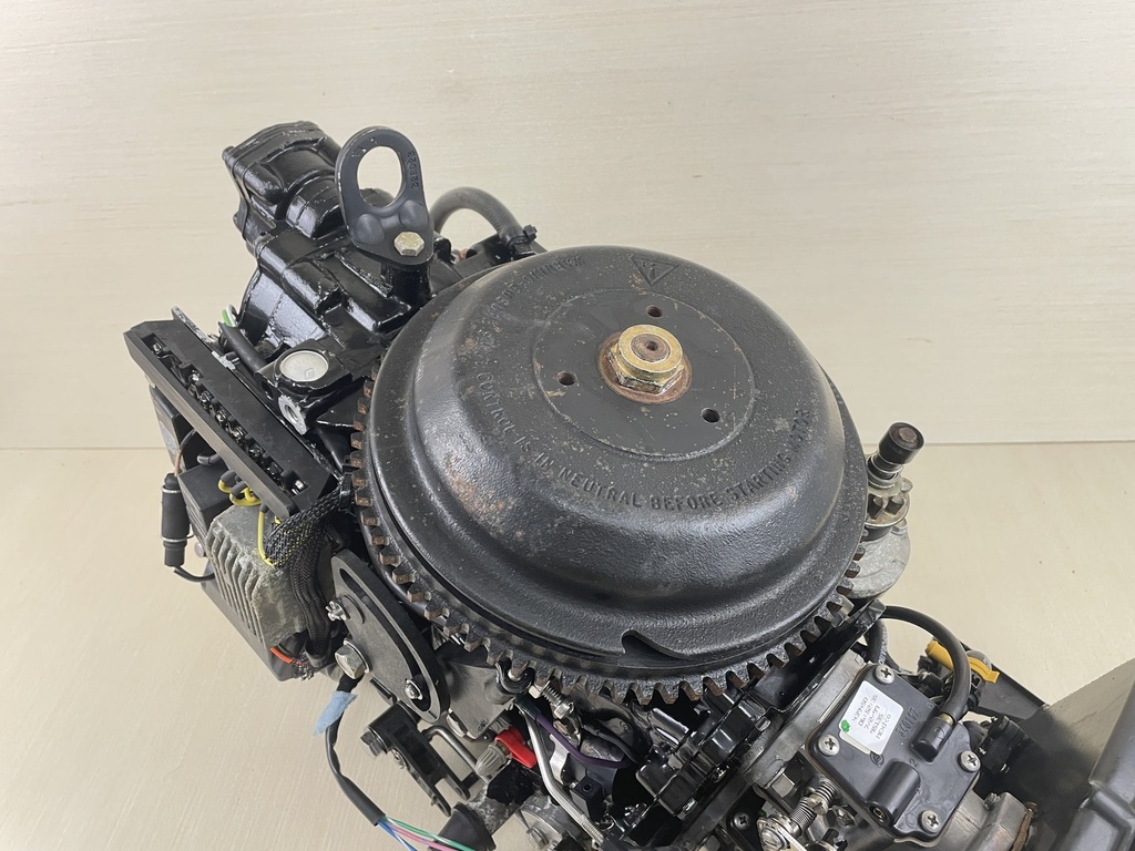 2000 Evinrude Johnson 50HP 2 Stroke Outboard Powerhead Assembly 0437342