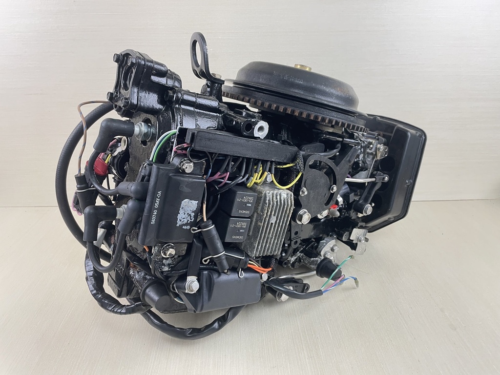 2000 Evinrude Johnson 50HP 2 Stroke Outboard Powerhead Assembly 0437342