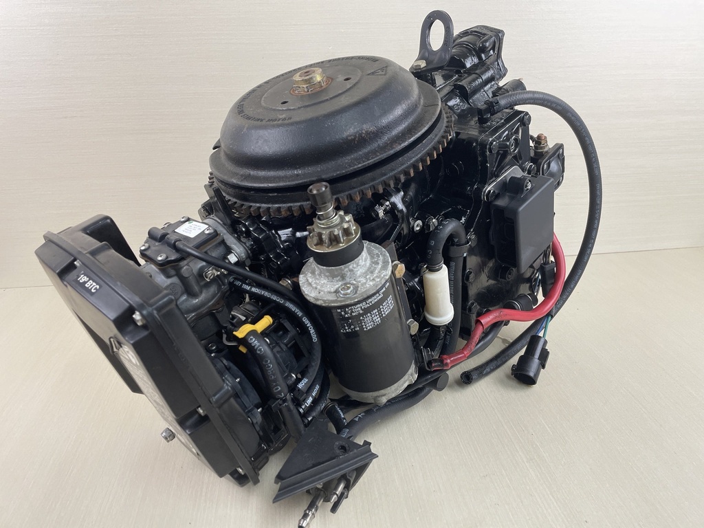 2000 Evinrude Johnson 50HP 2 Stroke Outboard Powerhead Assembly 0437342